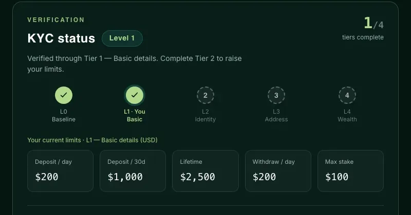 Identity verification in the app: KYC level, tier progress and your current limits